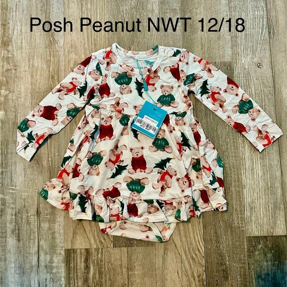 Posh Peanut Other - Posh Peanut Christmas Bears Dress 12/18